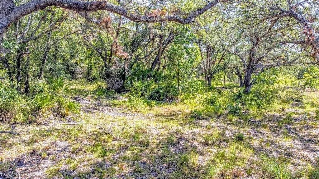 1 Catamount Road Labelle FL 33975