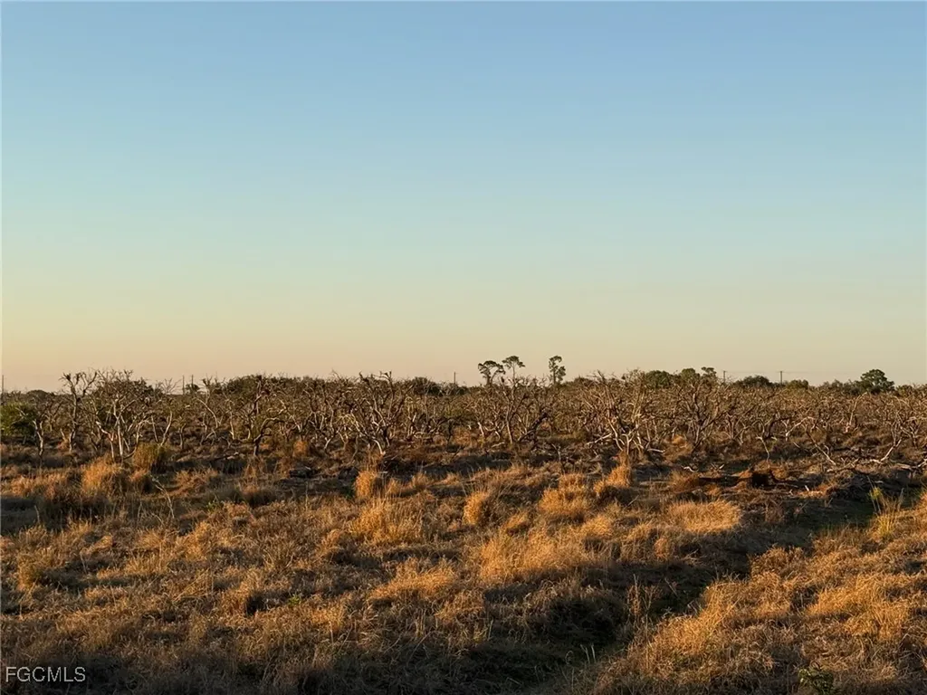 7080 6th Road Labelle FL 33935