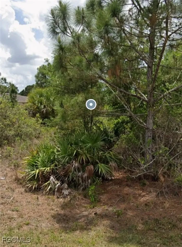 3113 43rd Street W Lehigh Acres FL 33971