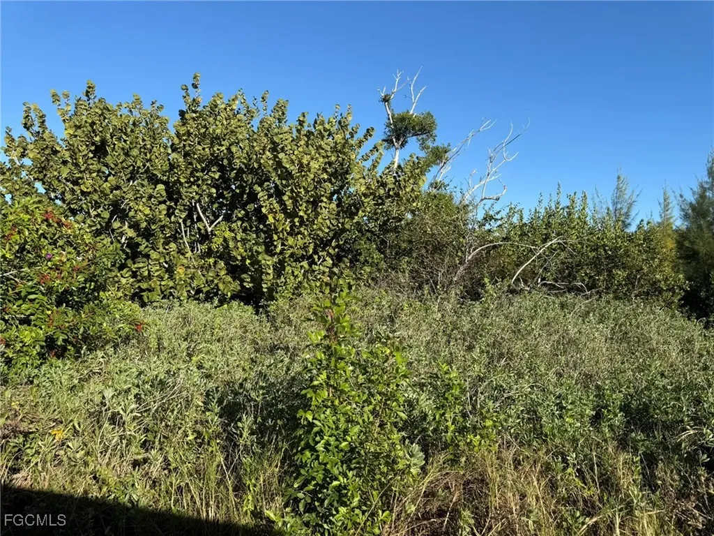 161 Swallow Drive Captiva FL 33924