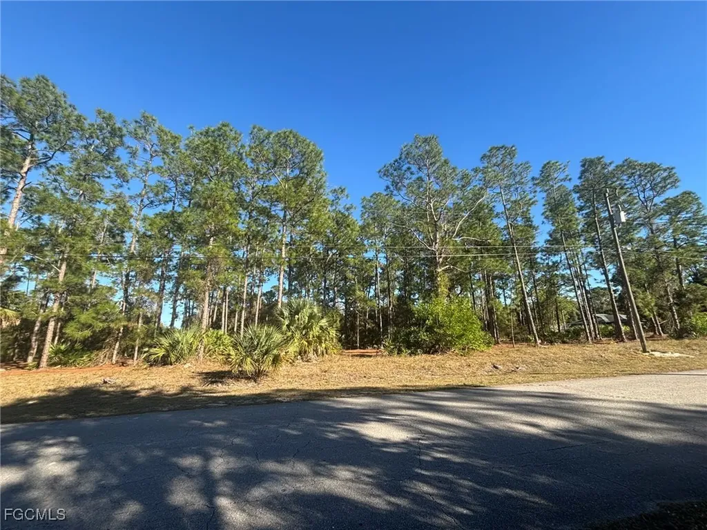 502 Canton Avenue Lehigh Acres FL 33972