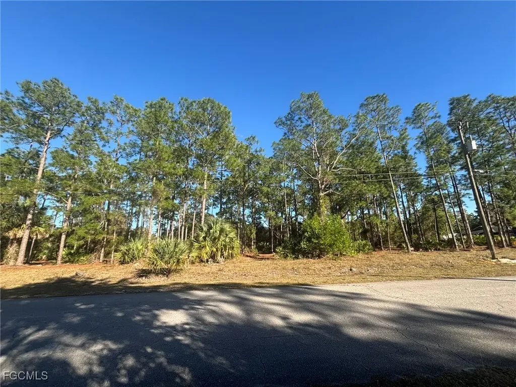 502 Canton Avenue Lehigh Acres FL 33972