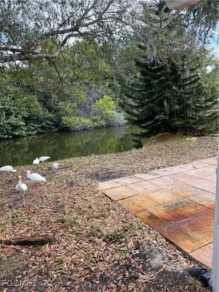4232 Tamargo Drive New Port Richey FL 34652