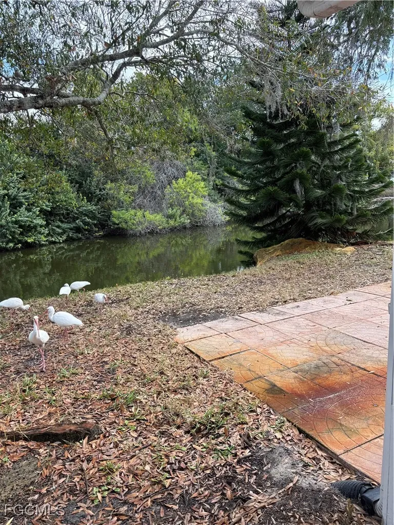 4232 Tamargo Drive New Port Richey FL 34652