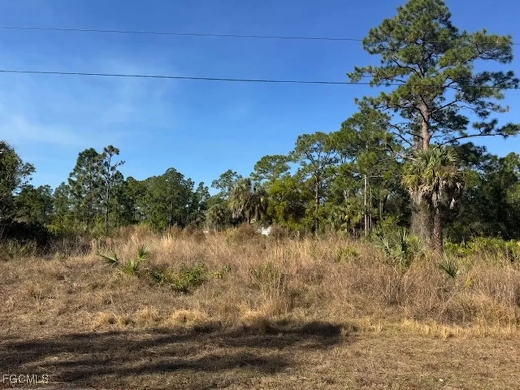 2117 Moore Avenue Alva FL 33920