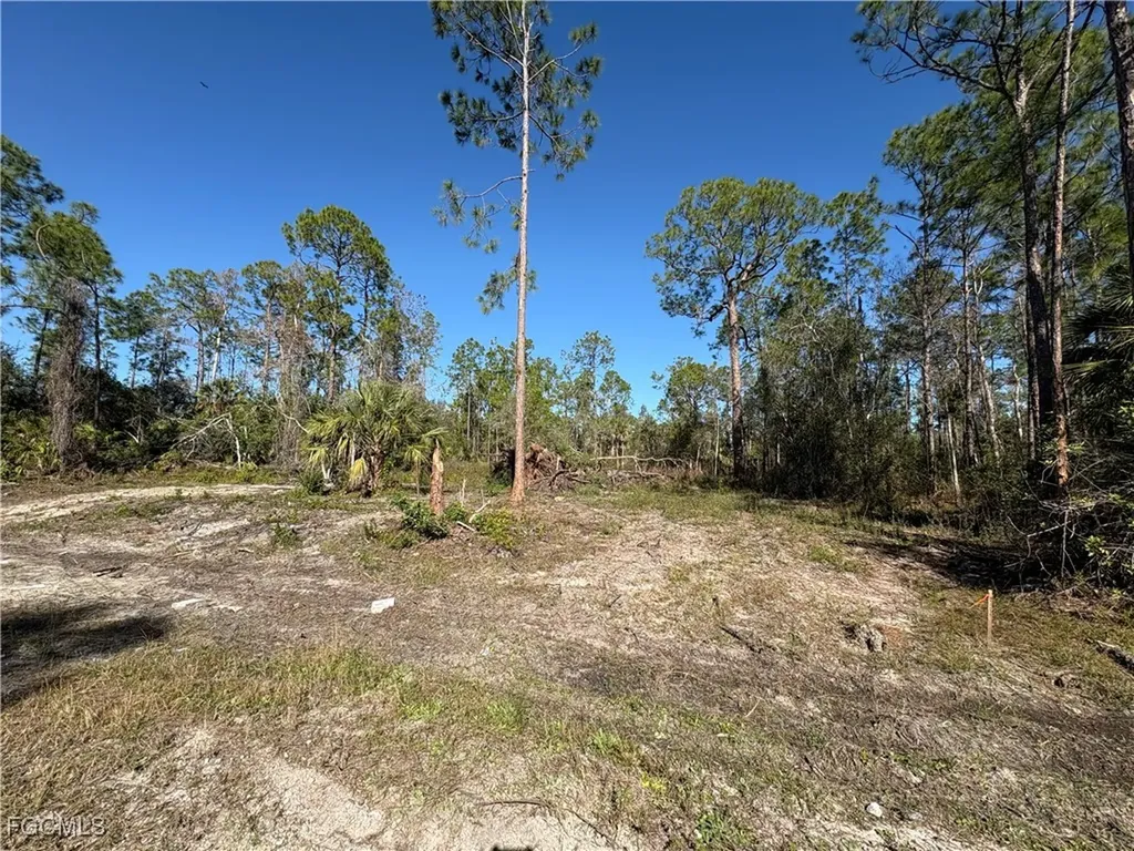 230 Ocean Park Drive Lehigh Acres FL 33972