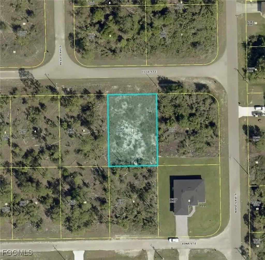 1252 Edile Street E Lehigh Acres FL 33974