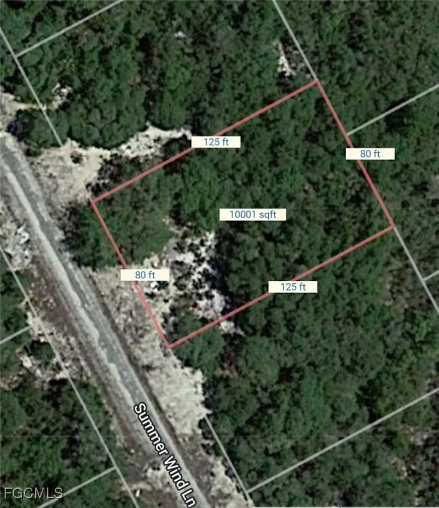 215 Summer Wind Lane Lake Placid FL 33852