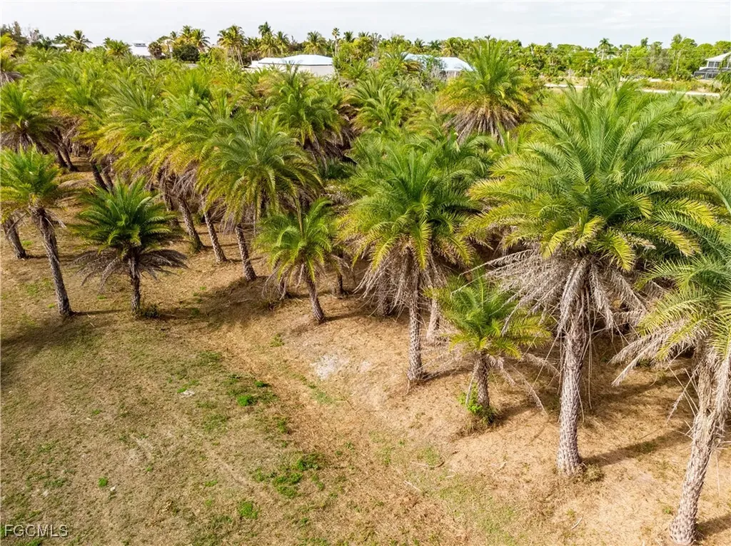 15890 Quail Trail Bokeelia FL 33922