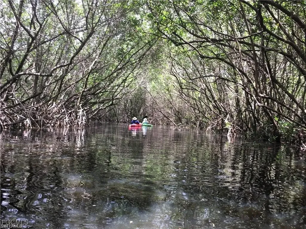 25111 Pennyroyal Drive Bonita Springs FL 34134