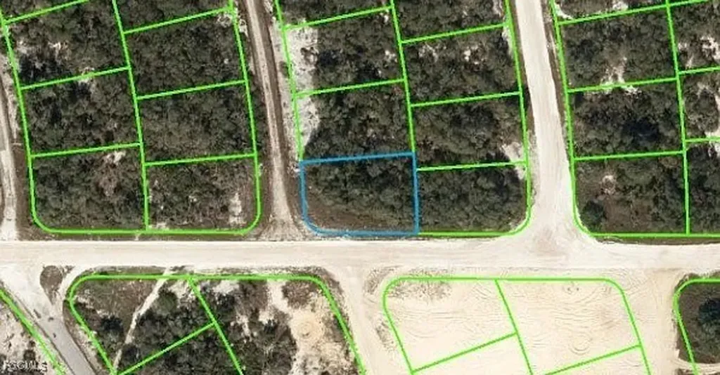 446 Fawnwood Avenue Lake Placid FL 33852
