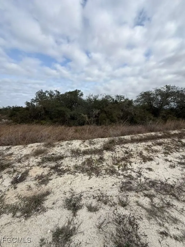 446 Fawnwood Avenue Lake Placid FL 33852