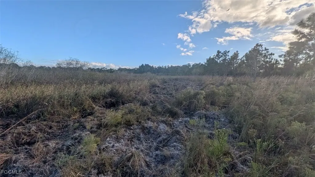 2402 Tampa Avenue Clewiston FL 33440