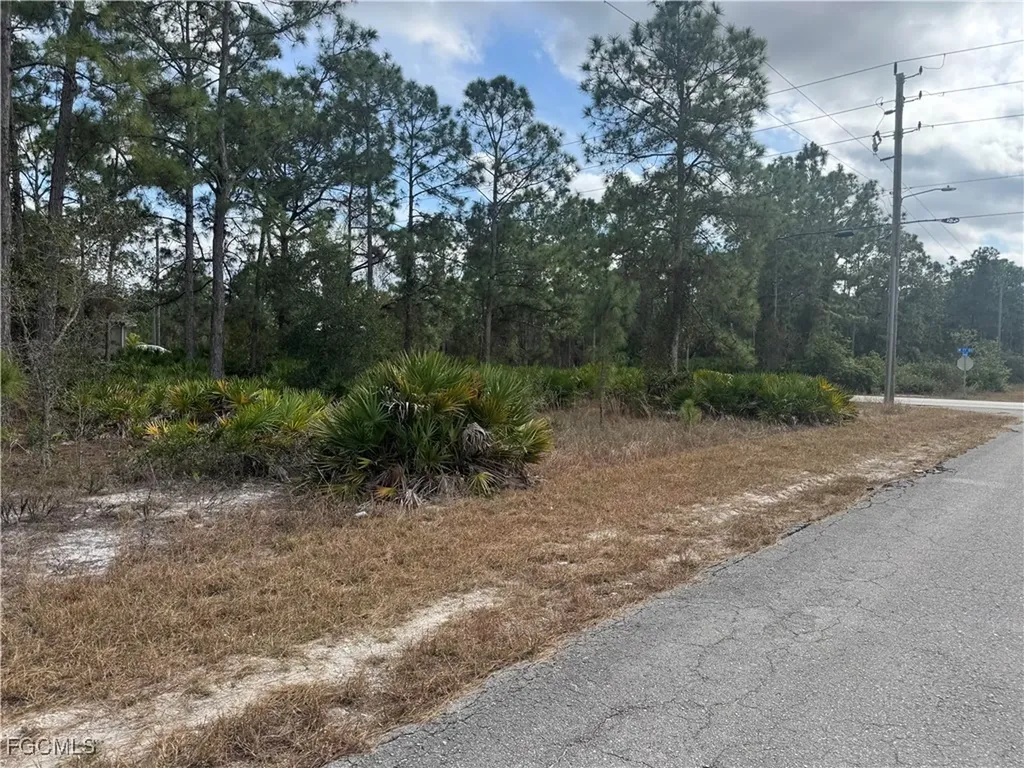 706 W 17th Street Lehigh Acres FL 33972