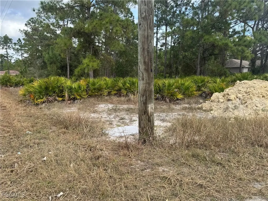 706 W 17th Street Lehigh Acres FL 33972