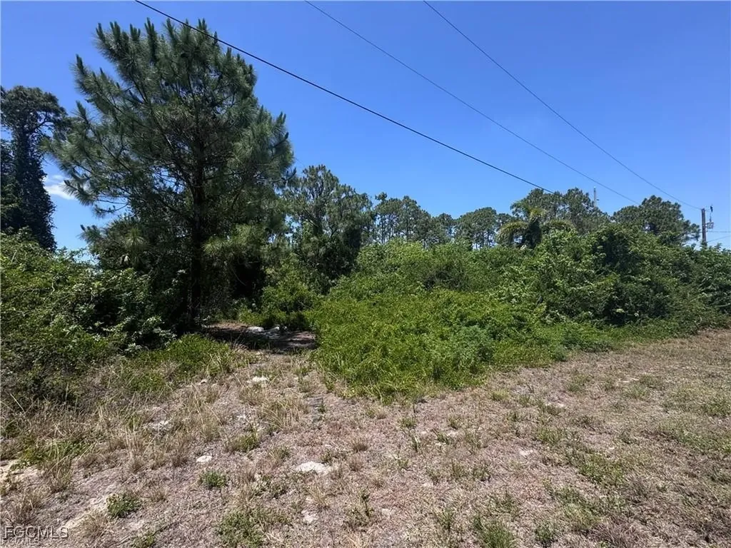 56 Wanda Avenue S Lehigh Acres FL 33976