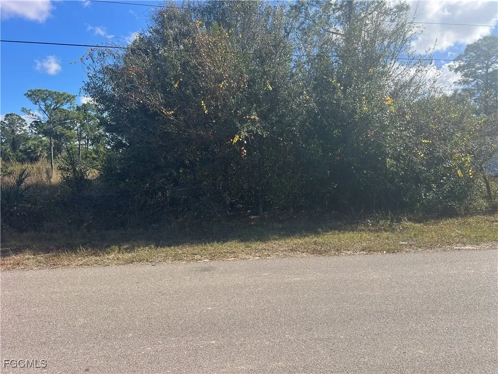 2904 Ida Avenue N Lehigh Acres FL 33971