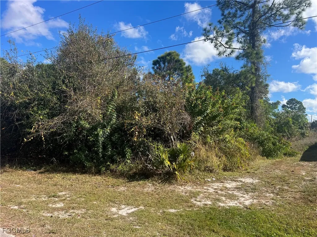 2904 Ida Avenue N Lehigh Acres FL 33971