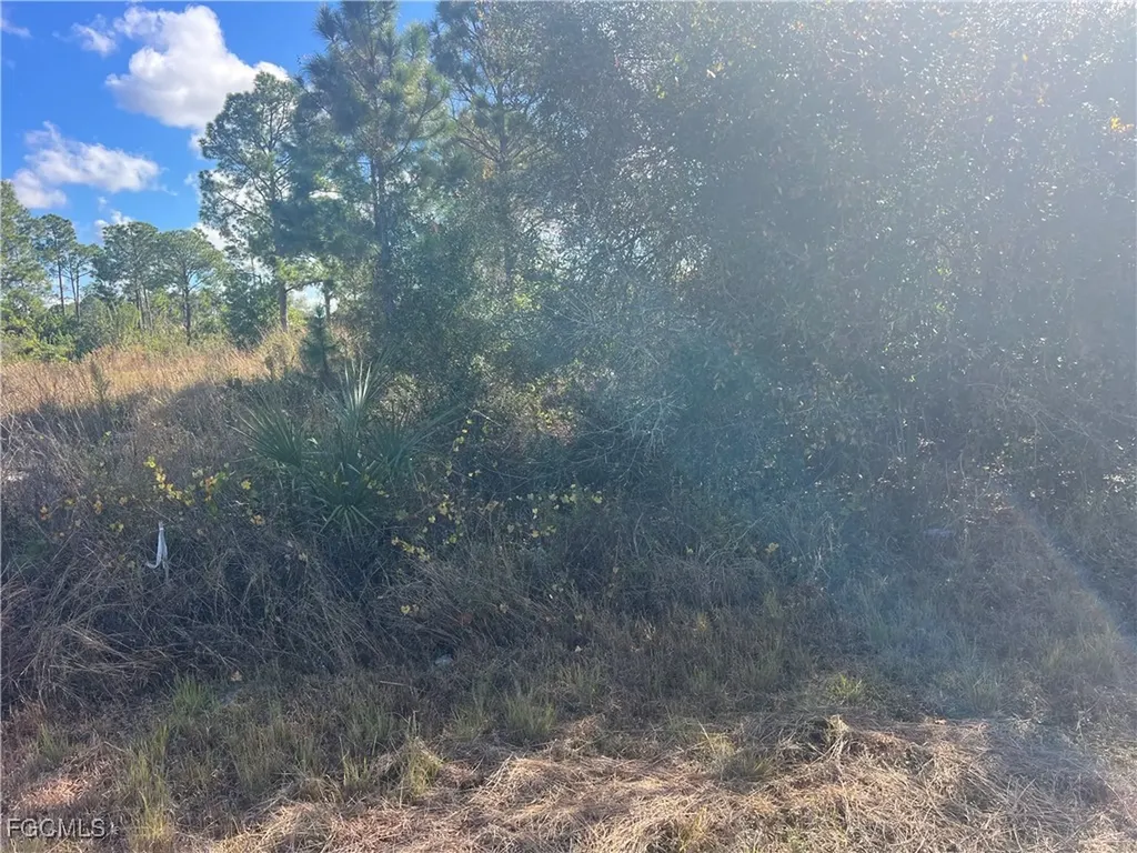 2904 Ida Avenue N Lehigh Acres FL 33971