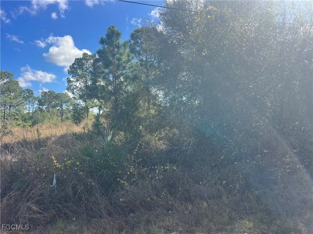 2904 Ida Avenue N Lehigh Acres FL 33971