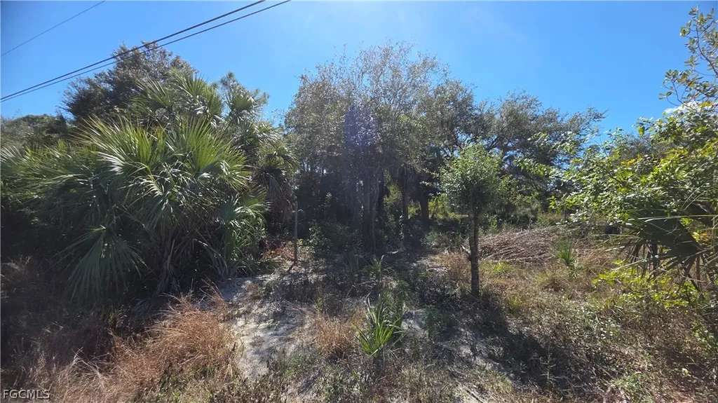 606 Charles Sise Street Lehigh Acres FL 33974
