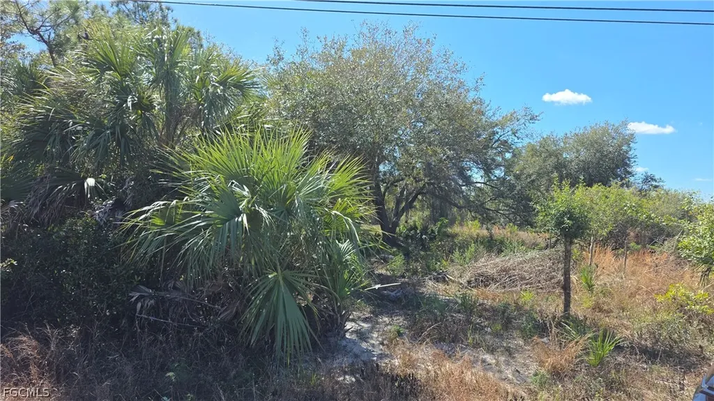 606 Charles Sise Street Lehigh Acres FL 33974