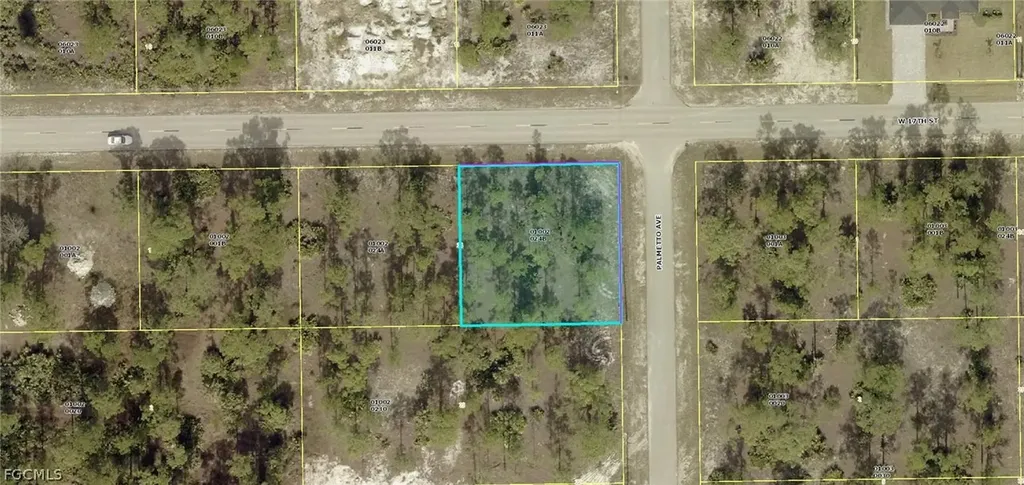 901 W 17th Street Lehigh Acres FL 33972