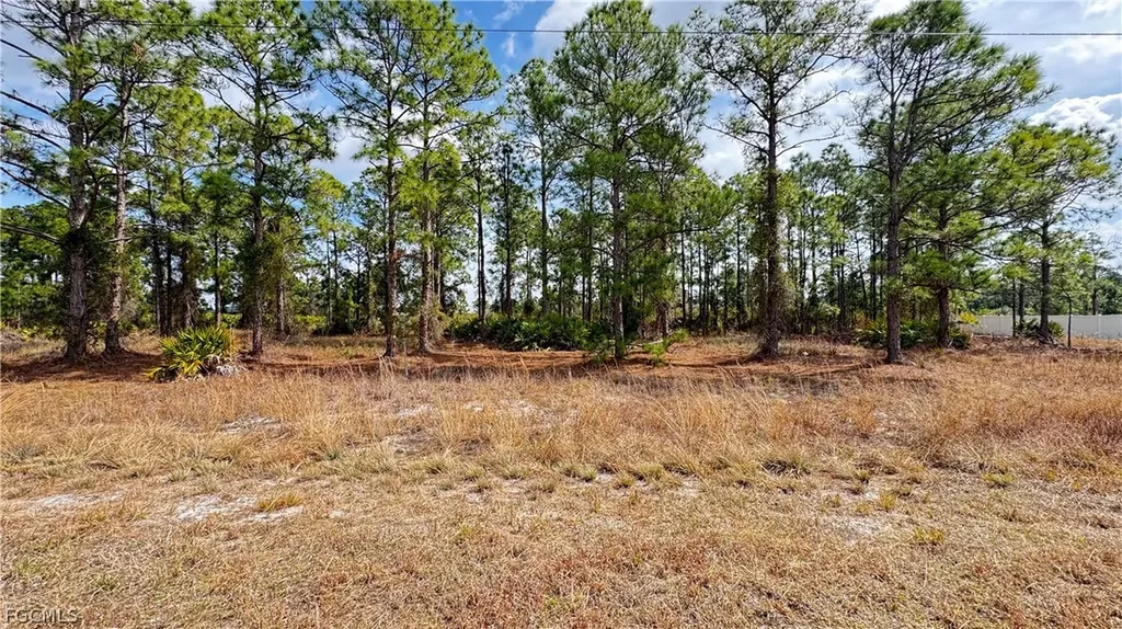 727 Randall Avenue E Lehigh Acres FL 33974