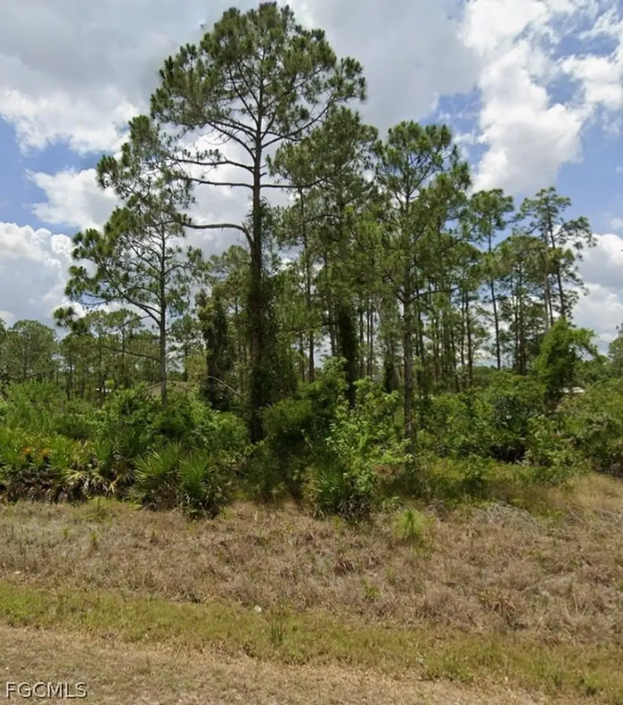 2315 Mcarthur Avenue Alva FL 33920