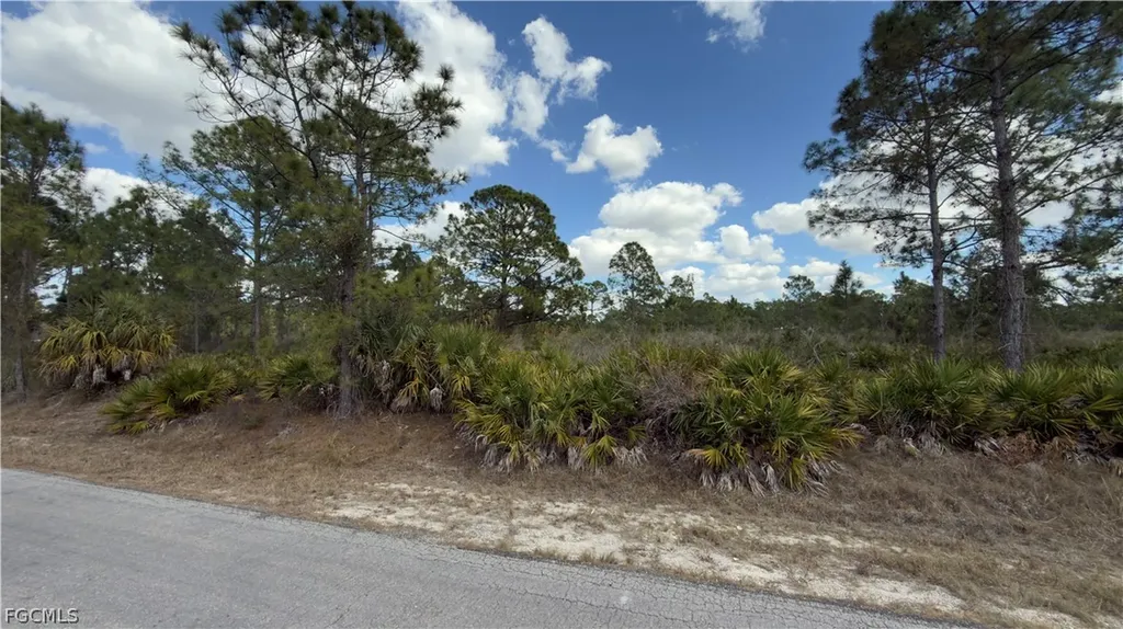 1216 Magnolia Avenue Lehigh Acres FL 33972