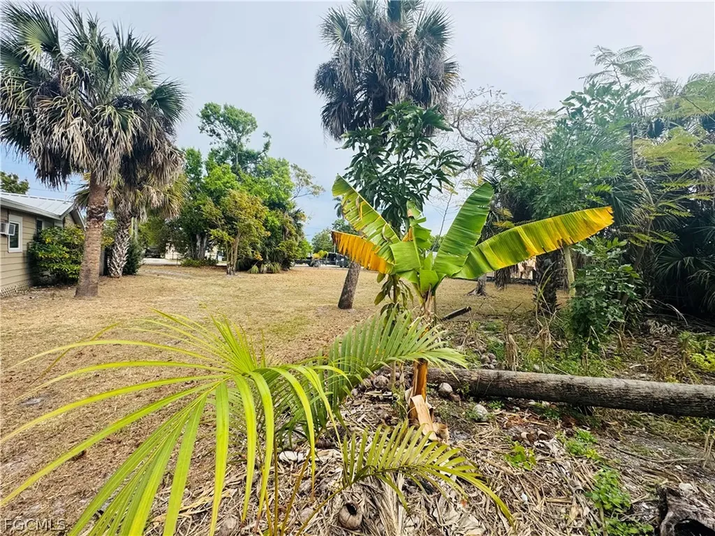 3768 Desoto Avenue Fort Myers FL 33916