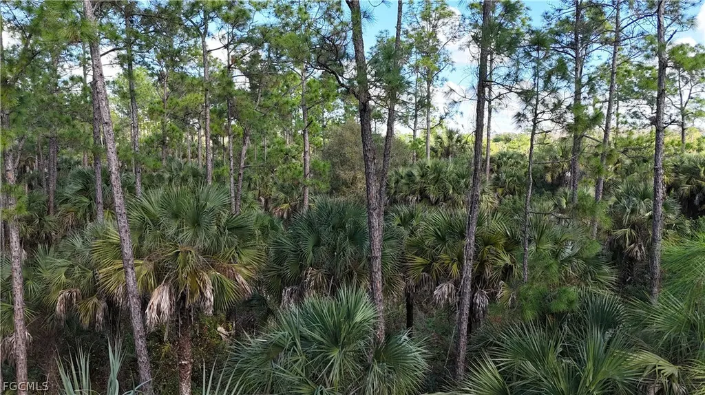 Naples FL 34117