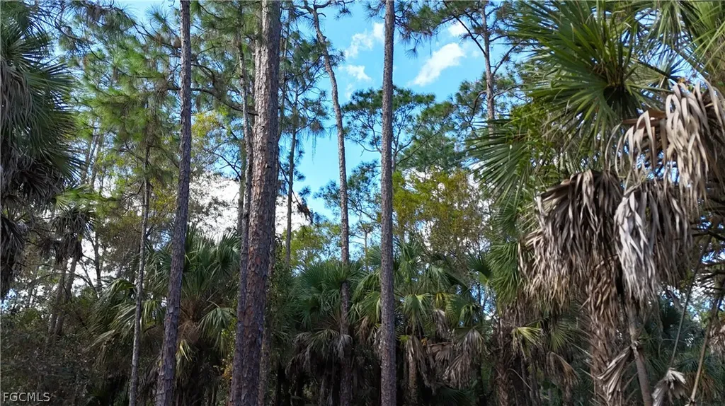 Naples FL 34117