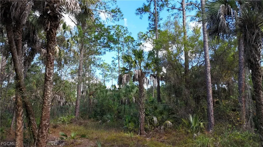 Naples FL 34117