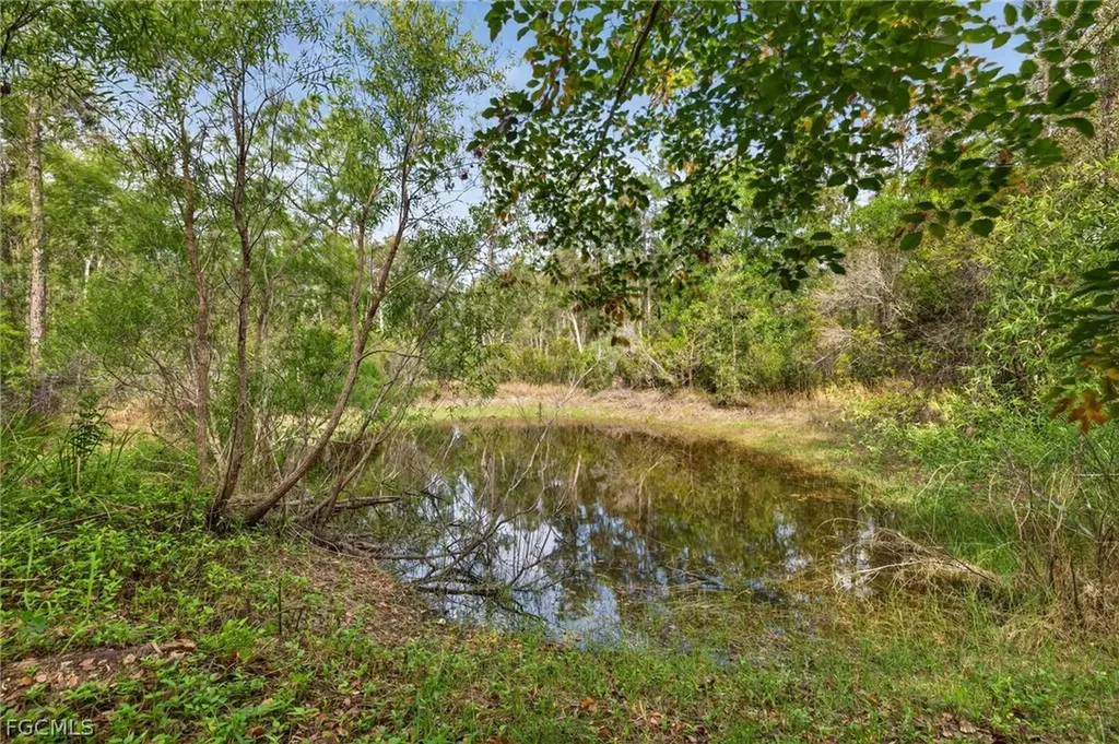 11580 Palomino Lane Fort Myers FL 33912