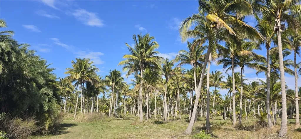 0 Lada Lane Bokeelia FL 33922