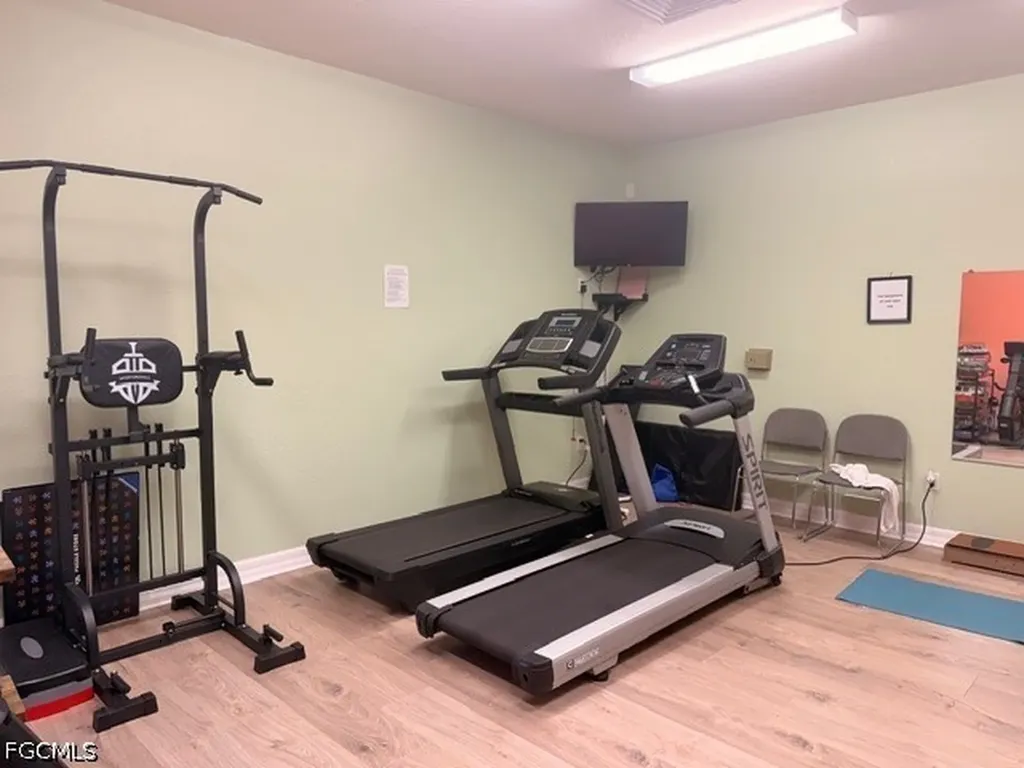 1133 Van Loon Commons Circle Cape Coral FL 33909