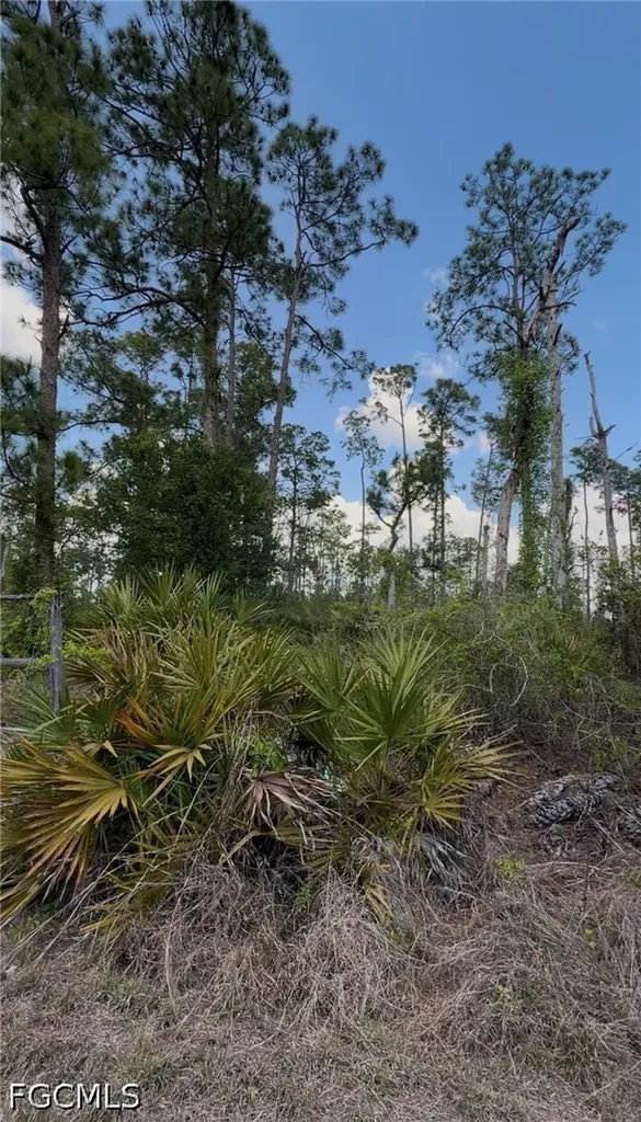 3703 E 7th Street Lehigh Acres FL 33972