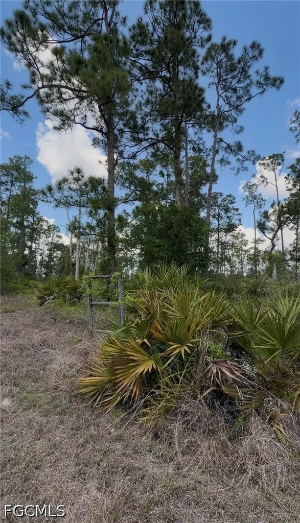 3703 E 7th Street Lehigh Acres FL 33972