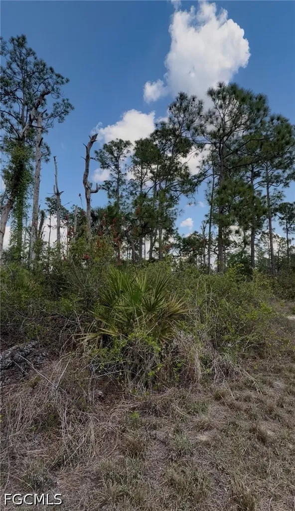 3703 E 7th Street Lehigh Acres FL 33972