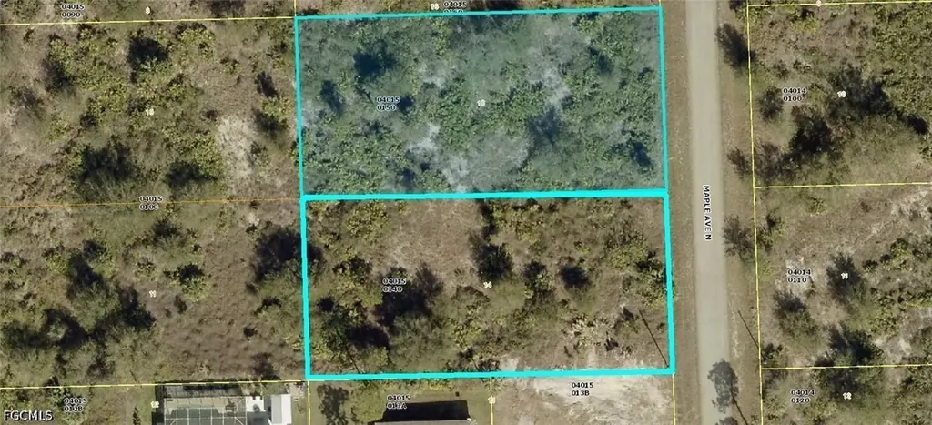 903 Maple Avenue N Lehigh Acres FL 33972