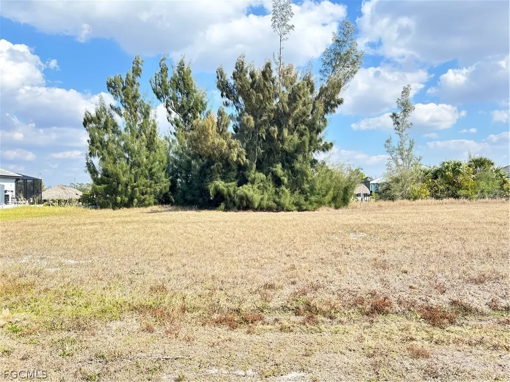 2347 NW 38th Avenue Cape Coral FL 33993