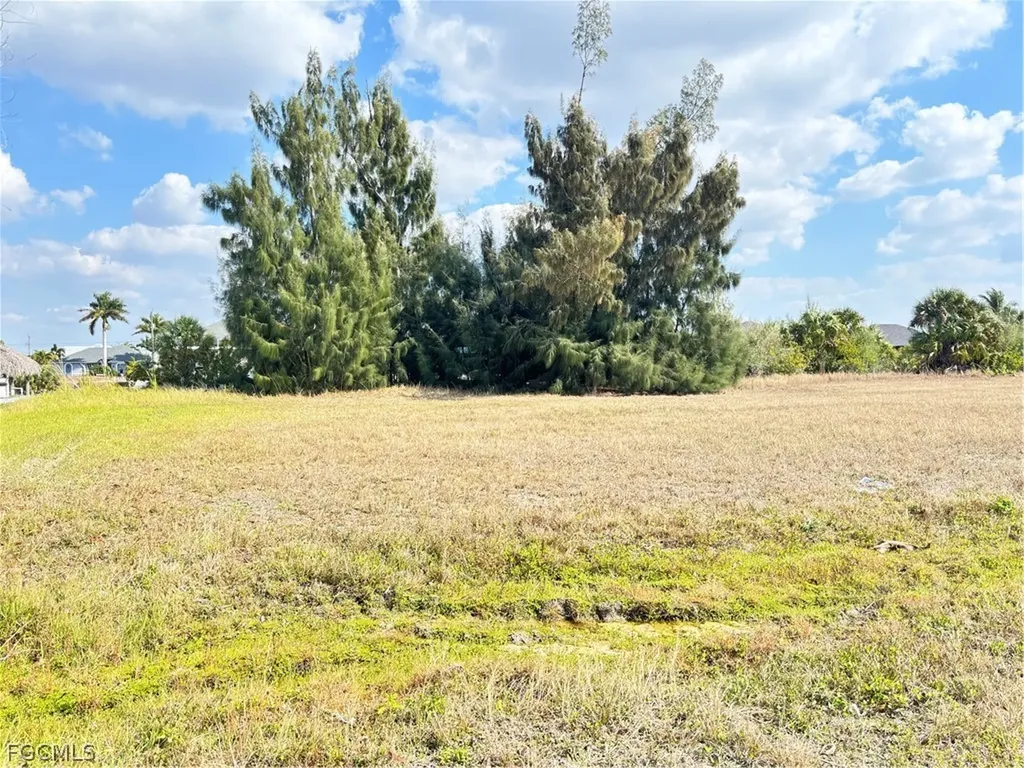 2347 NW 38th Avenue Cape Coral FL 33993