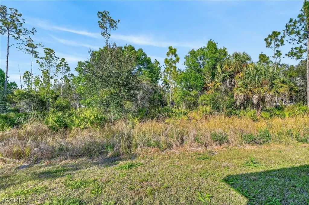 1103 E 7th Street Lehigh Acres FL 33972