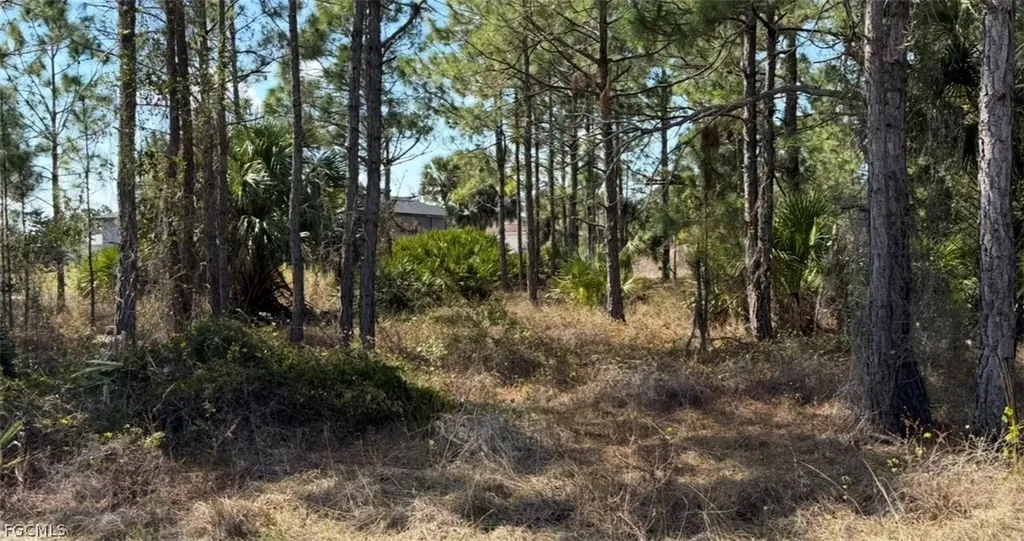 844 Bianca Avenue S Lehigh Acres FL 33974