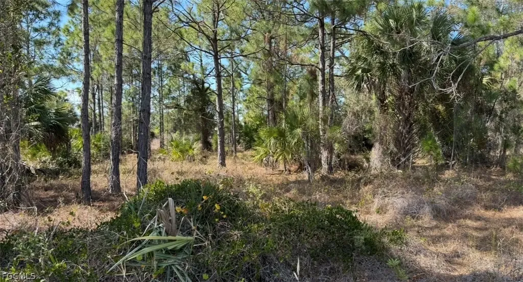 844 Bianca Avenue S Lehigh Acres FL 33974