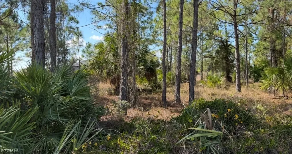 844 Bianca Avenue S Lehigh Acres FL 33974