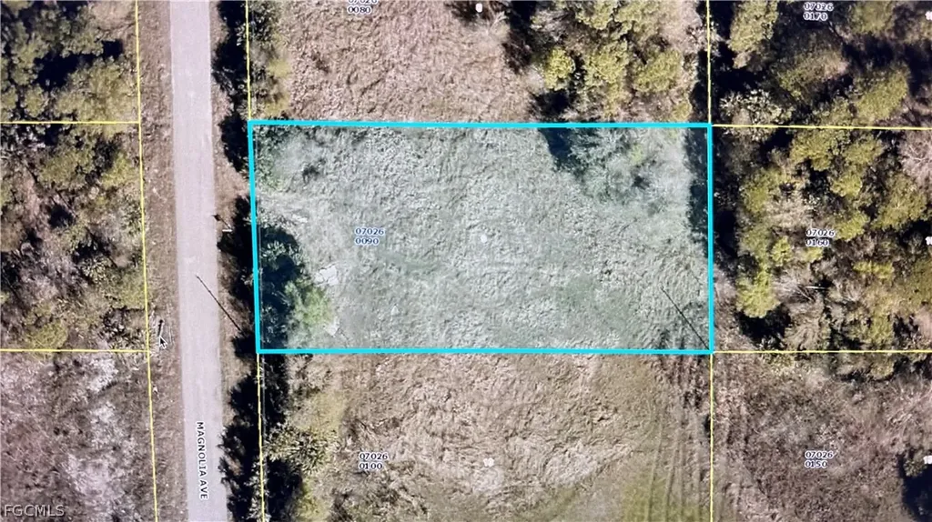 606 Magnolia Avenue Lehigh Acres FL 33972