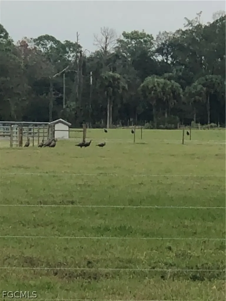 3790 Goggin Road Alva FL 33920