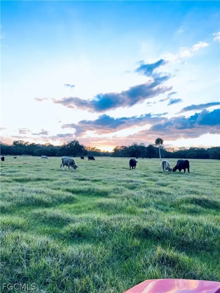 3790 Goggin Road Alva FL 33920